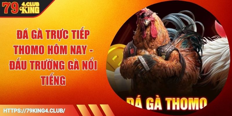 Đá Gà Trực Tiếp Thomo Hôm Nay - Đấu Trường Gà Nổi Tiếng